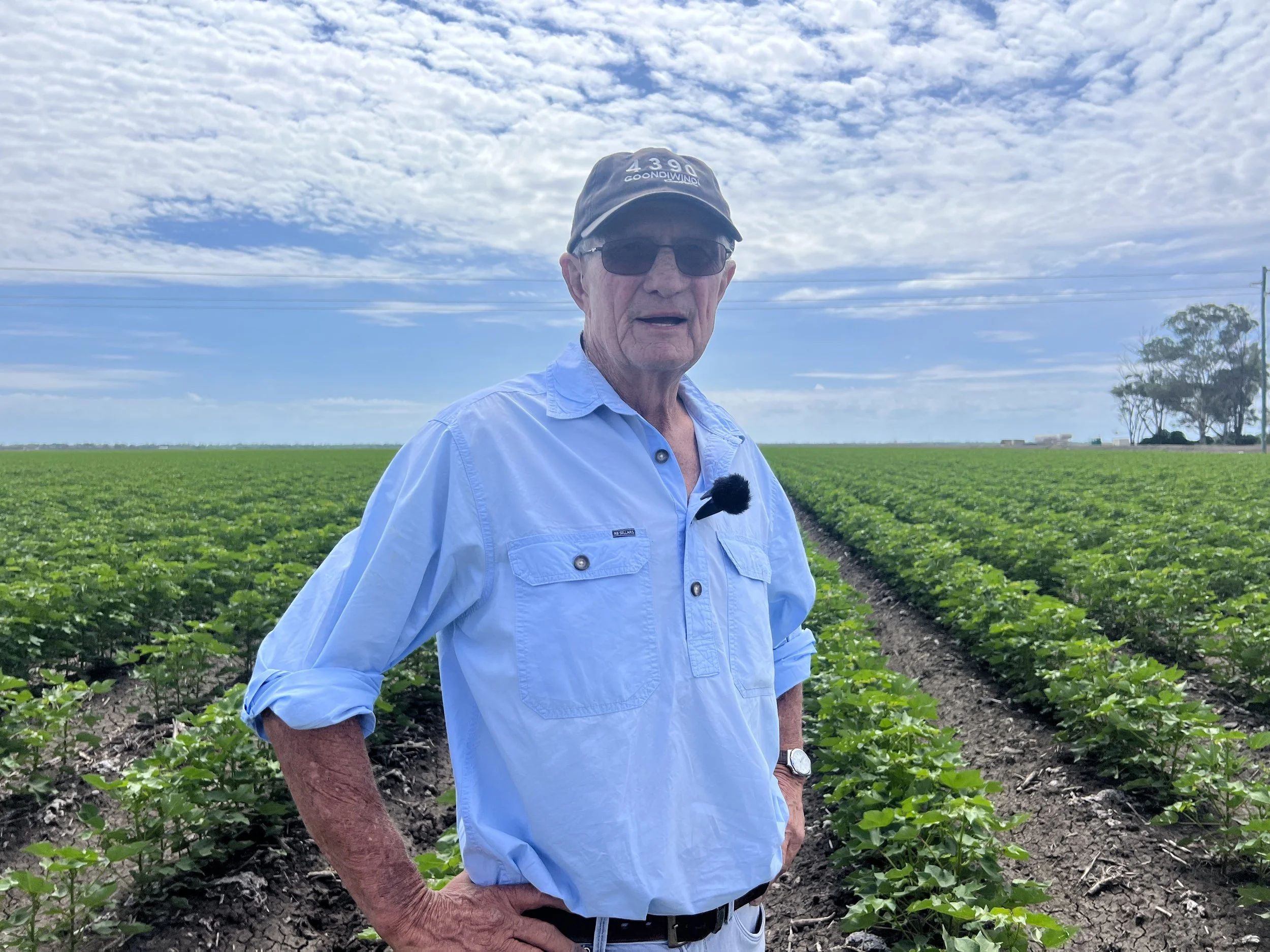 From Cotton Fields to Fashion: A Journey of Adaptation and ...