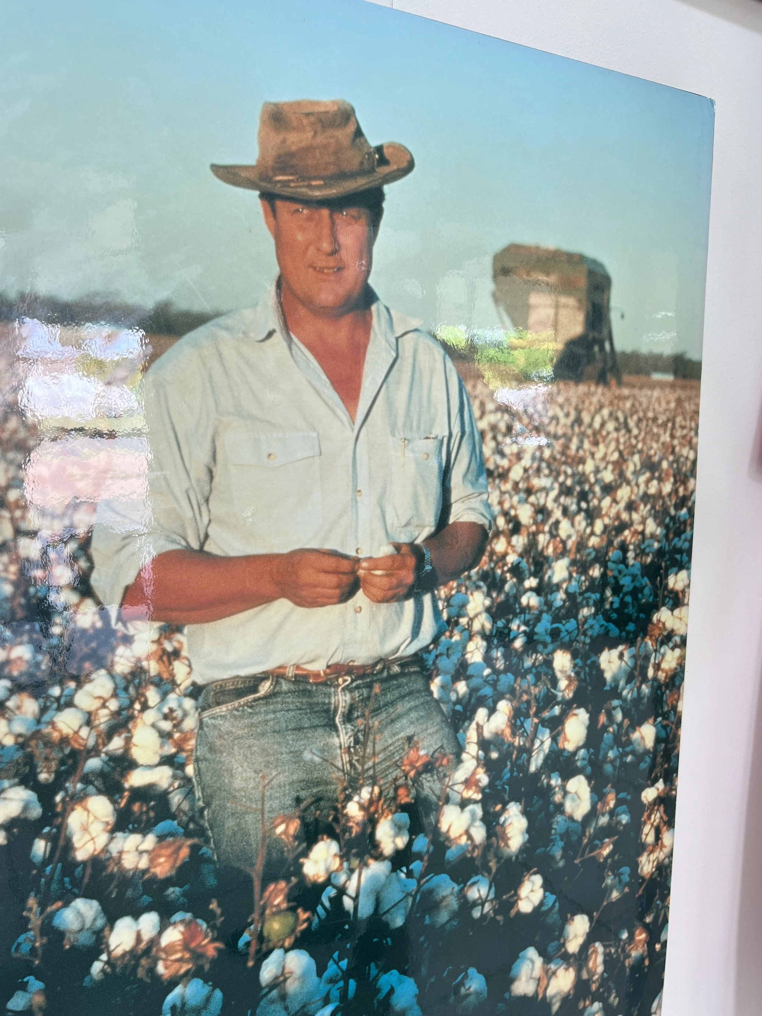 From Cotton Fields to Fashion: A Journey of Adaptation and ...